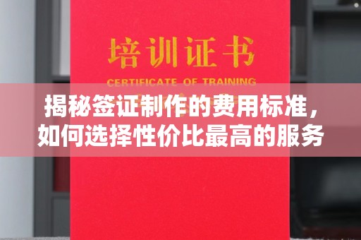 巴塘揭秘签证制作的费用标准，如何选择性价比最高的服务？